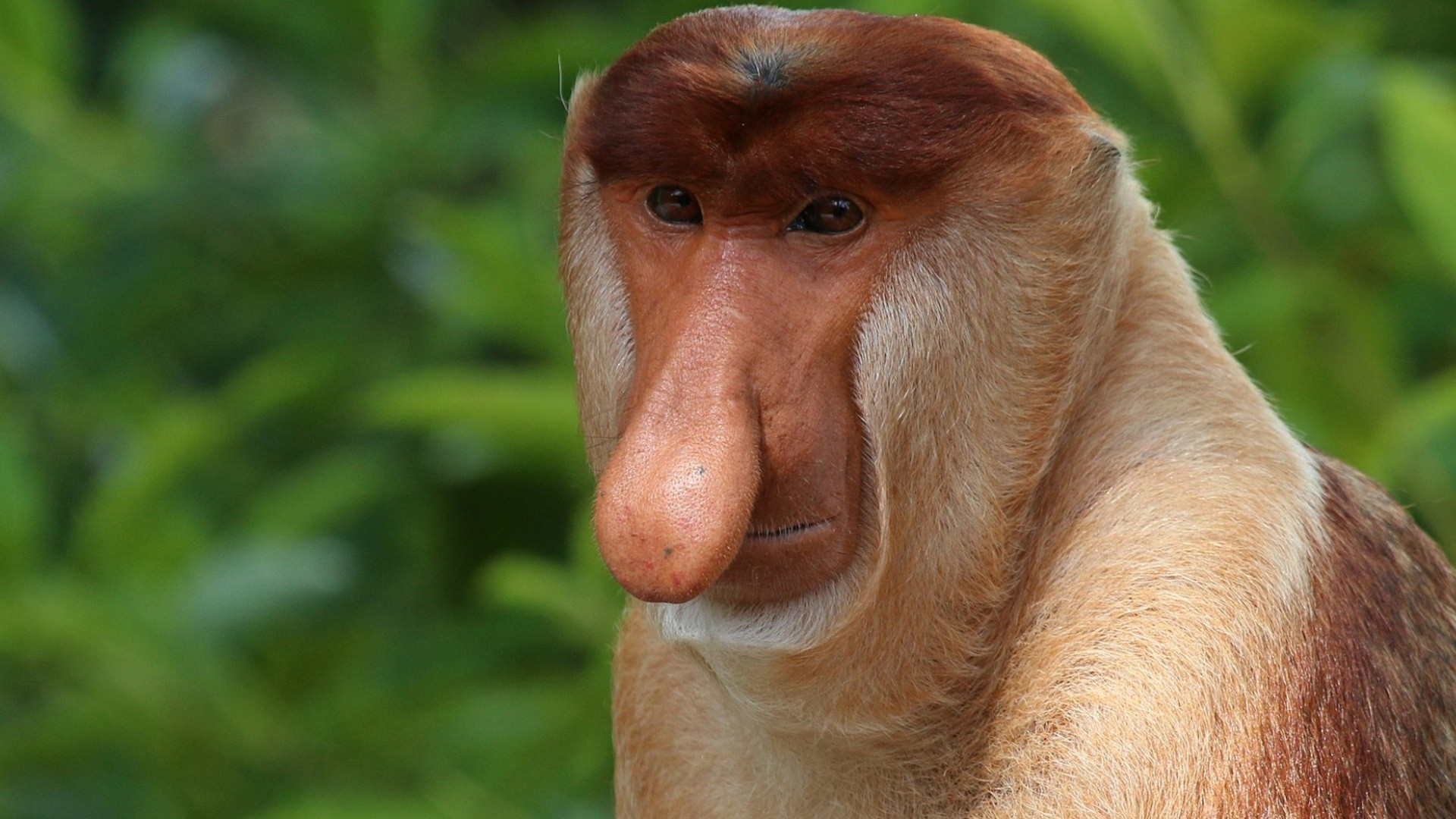 Za darmo to uczciwa cena. Oferta na darmowe gry PC w listopadzie