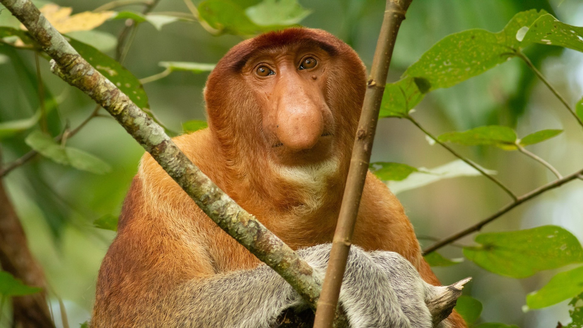 Za darmo to uczciwa cena. Oferta na darmowe gry PC we wrześniu i na początek roku szkolnego