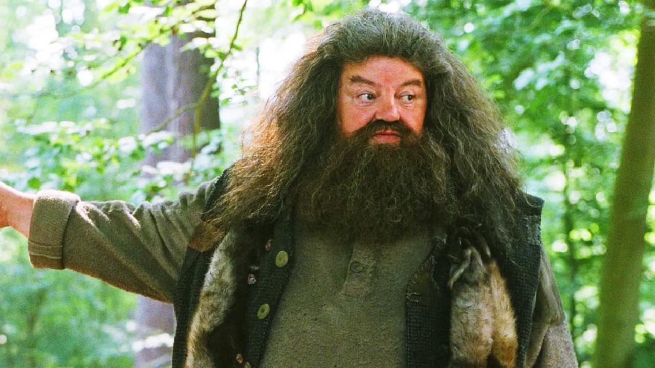 Harry Potter na kolejnym zdjęciu z planu serialu. Tak wygląda nowy Hagrid