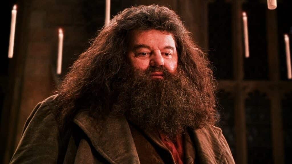 Hogwarts Legacy cu un omagiu emoționant adus actorului care îl interpretează pe Hagrid