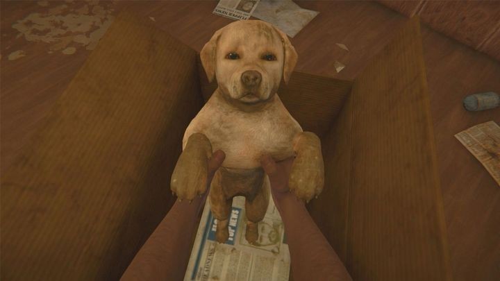 Polscy twórcy ciepło przyjętego symulatora zapowiadają DLC. interesująca zapowiedź na PC Gaming Show