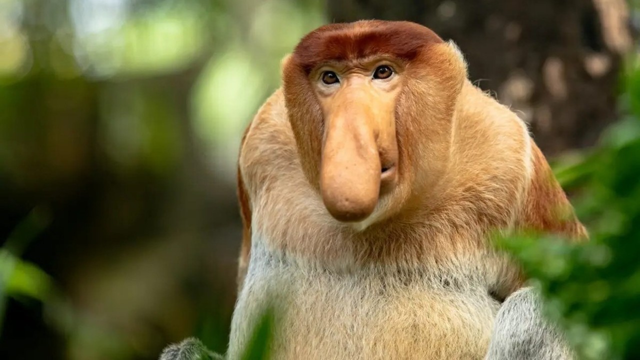 Za darmo to uczciwa cena. Oferta na darmowe gry PC w grudniu i na święta