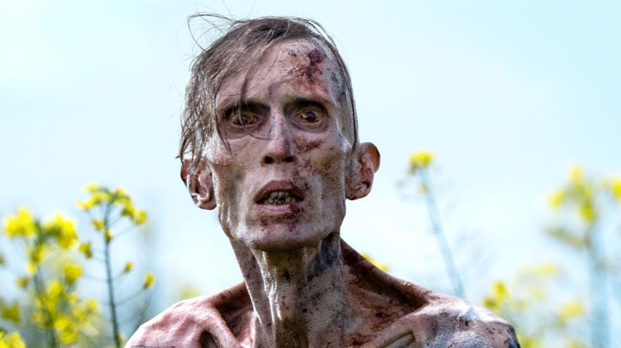 Danny Boyle komentuje przyszłość trylogii 28 lat później. Cillian Murphy wróci do roli?